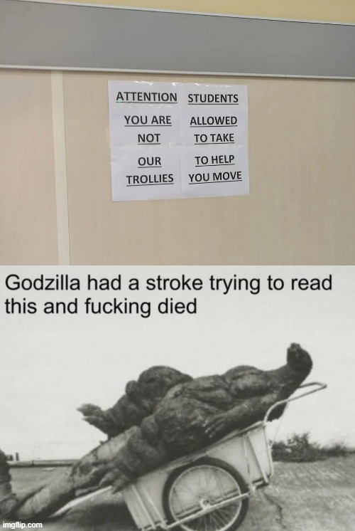 wtf does it even say | image tagged in funni | made w/ Imgflip meme maker