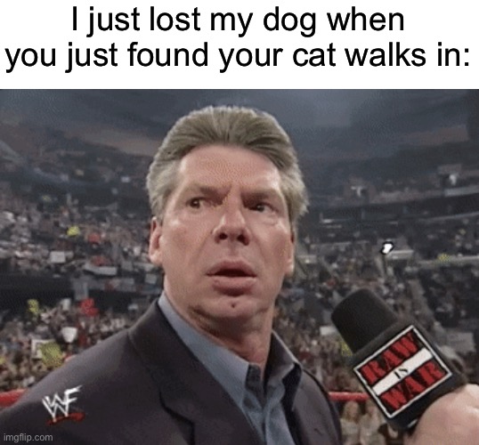 That’s gonna be interesting… | I just lost my dog when you just found your cat walks in: | image tagged in x when y walks in | made w/ Imgflip meme maker