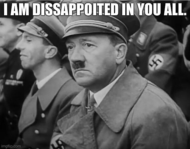 sad hitler | I AM DISSAPPOITED IN YOU ALL. | image tagged in sad hitler | made w/ Imgflip meme maker
