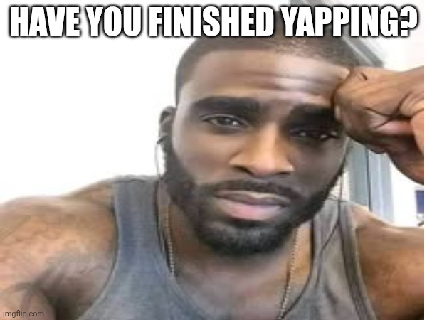 Meme 0 | HAVE YOU FINISHED YAPPING? | image tagged in memes,meme | made w/ Imgflip meme maker