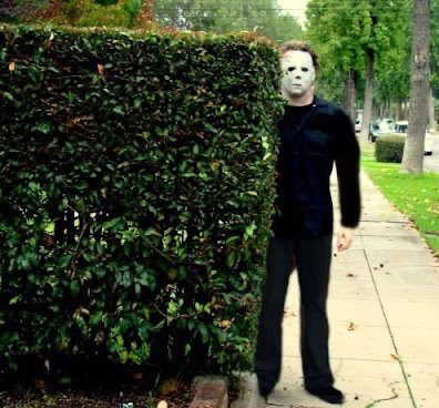 Hiding Blank Meme Template