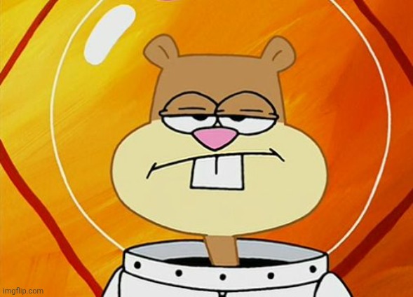 Unimpressed Sandy | image tagged in unimpressed sandy | made w/ Imgflip meme maker
