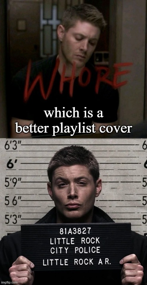which is a better playlist cover | made w/ Imgflip meme maker