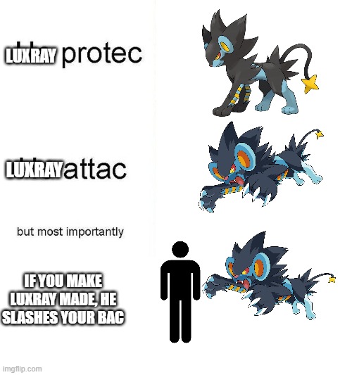 Luxray protec | LUXRAY; LUXRAY; IF YOU MAKE LUXRAY MADE, HE SLASHES YOUR BAC | image tagged in he protec,luxray,pokemon | made w/ Imgflip meme maker