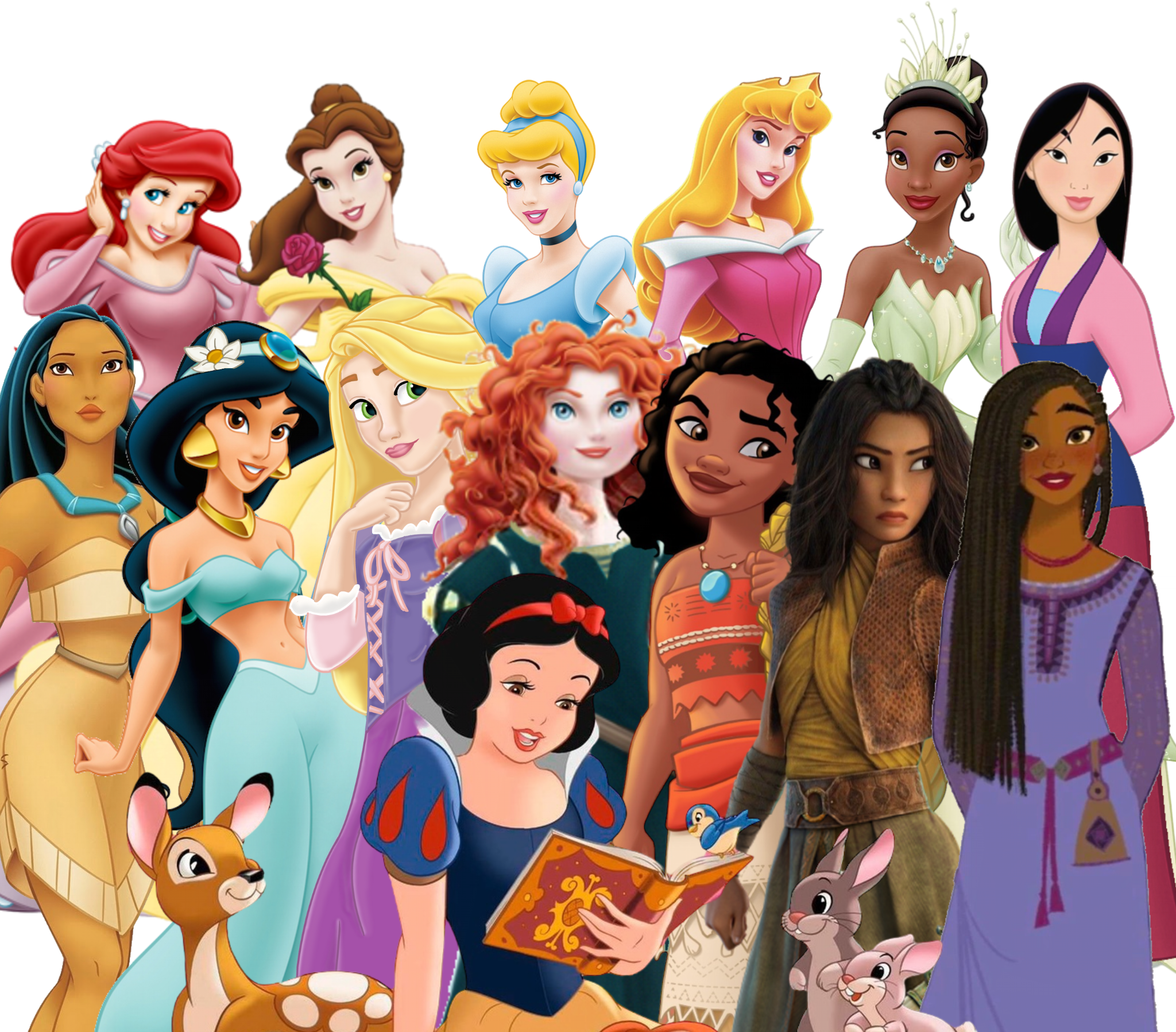 14 Main Disney Princesses Blank Meme Template