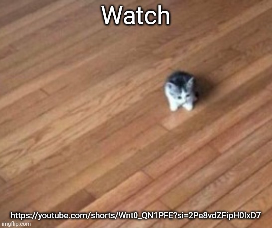 tiny ahh cat | Watch; https://youtube.com/shorts/Wnt0_QN1PFE?si=2Pe8vdZFipH0IxD7 | image tagged in tiny ahh cat | made w/ Imgflip meme maker