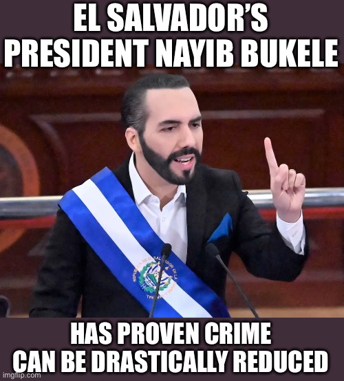 Nayib Bukele | EL SALVADOR’S PRESIDENT NAYIB BUKELE HAS PROVEN CRIME CAN BE DRASTICALLY REDUCED | image tagged in nayib bukele | made w/ Imgflip meme maker