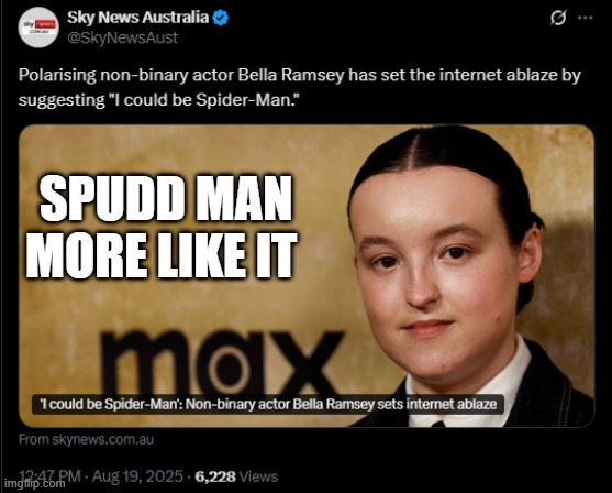 SPUDD MAN MORE LIKE IT | made w/ Imgflip meme maker
