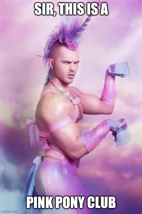 Gay Unicorn | SIR, THIS IS A PINK PONY CLUB | image tagged in gay unicorn | made w/ Imgflip meme maker