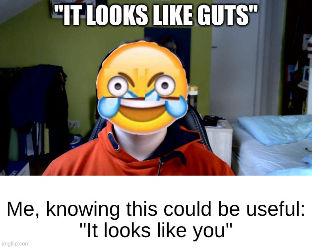 this happened once | "IT LOOKS LIKE GUTS"; Me, knowing this could be useful:

"It looks like you" | image tagged in sickburn | made w/ Imgflip meme maker