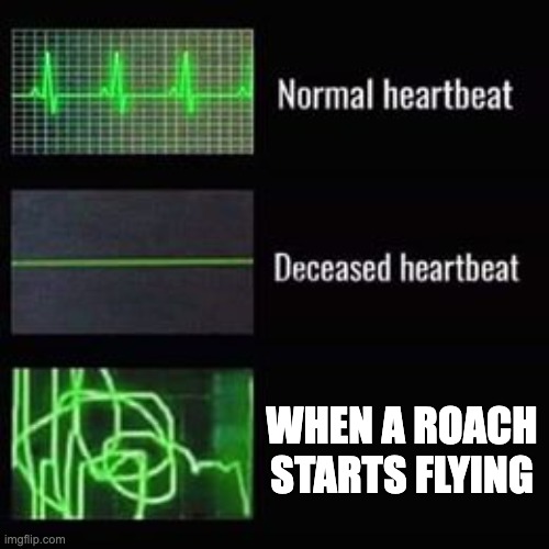 heartbeat rate | WHEN A ROACH STARTS FLYING | image tagged in heartbeat rate | made w/ Imgflip meme maker