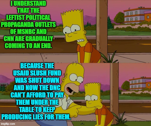 The parent companies are switching to more profitable business models -- wink, wink. | I UNDERSTAND THAT THE LEFTIST POLITICAL PROPAGANDA OUTLETS OF MSNBC AND CNN ARE GRADUALLY COMING TO AN END. BECAUSE THE USAID SLUSH FUND WAS SHUT DOWN AND NOW THE DNC CAN'T AFFORD TO PAY THEM UNDER THE TABLE TO KEEP PRODUCING LIES FOR THEM. | image tagged in homer and bart worst day so far | made w/ Imgflip meme maker