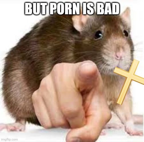 Pointing Rat | BUT PORN IS BAD | image tagged in pointing rat | made w/ Imgflip meme maker