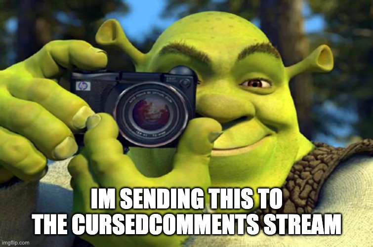 IM SENDING THIS TO THE CURSEDCOMMENTS STREAM | image tagged in shrek caught in 4k | made w/ Imgflip meme maker
