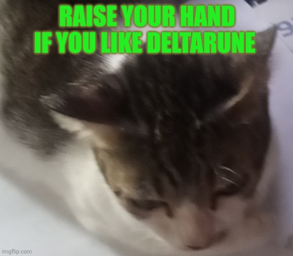 Questionales | RAISE YOUR HAND IF YOU LIKE DELTARUNE | image tagged in ming mong,deltarune | made w/ Imgflip meme maker