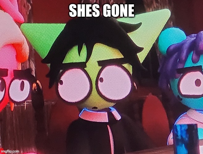 judgemental ass stare | SHES GONE | image tagged in judgemental ass stare | made w/ Imgflip meme maker