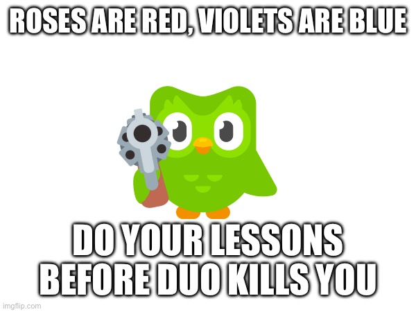Most violent meme I have ever made | ROSES ARE RED, VIOLETS ARE BLUE; DO YOUR LESSONS BEFORE DUO KILLS YOU | image tagged in duolingo | made w/ Imgflip meme maker