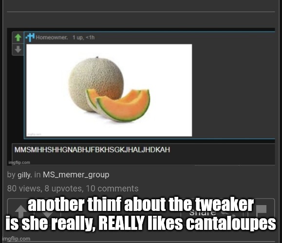 another thinf about the tweaker is she really, REALLY likes cantaloupes | made w/ Imgflip meme maker