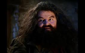 estan hechas mierda harry Blank Meme Template