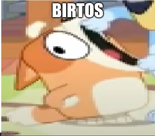 BEEEERD BINNO | BIRTOS | image tagged in bingo shouting | made w/ Imgflip meme maker