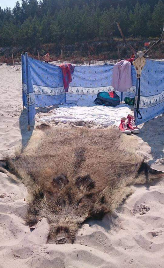 polish beach Blank Meme Template