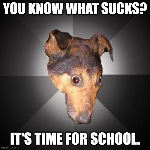 Depression Dog | YOU KNOW WHAT SUCKS? IT'S TIME FOR SCHOOL. | image tagged in memes,depression dog | made w/ Imgflip meme maker