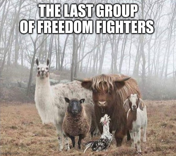 THE LAST GROUP OF FREEDOM FIGHTERS | made w/ Imgflip meme maker