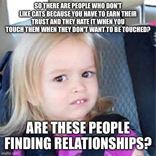 Seriously | SO THERE ARE PEOPLE WHO DON'T LIKE CATS BECAUSE YOU HAVE TO EARN THEIR TRUST AND THEY HATE IT WHEN YOU TOUCH THEM WHEN THEY DON'T WANT TO BE TOUCHED? ARE THESE PEOPLE FINDING RELATIONSHIPS? | image tagged in confused little girl,cats | made w/ Imgflip meme maker