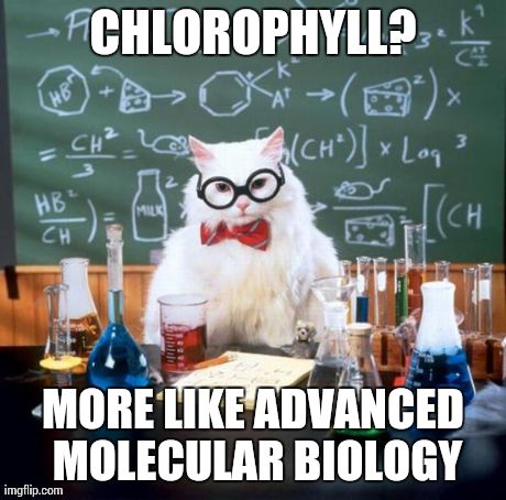 Chemistry Cat Meme | CHLOROPHYLL? MORE LIKE ADVANCED MOLECULAR BIOLOGY | image tagged in memes,chemistry cat | made w/ Imgflip meme maker