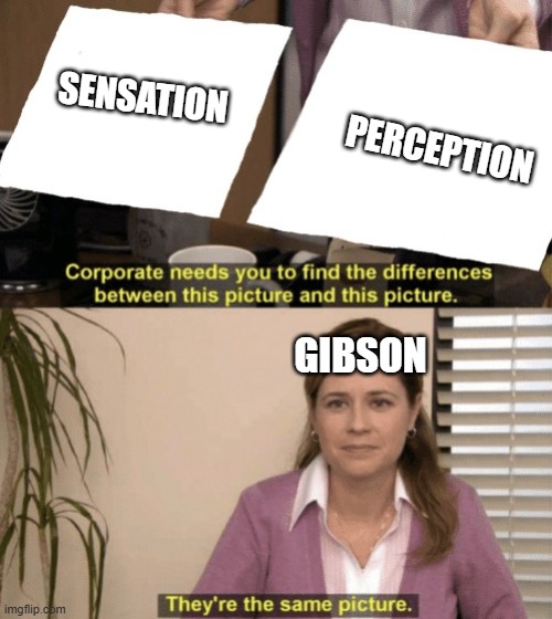 Gibson claimed that sensation and perception are the same thing. | SENSATION; PERCEPTION; GIBSON | image tagged in corporate needs you to find the differences | made w/ Imgflip meme maker