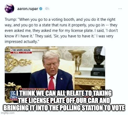 License Plate Voting | I THINK WE CAN ALL RELATE TO TAKING THE LICENSE PLATE OFF OUR CAR AND BRINGING IT INTO THE POLLING STATION TO VOTE | image tagged in license plate voting | made w/ Imgflip meme maker