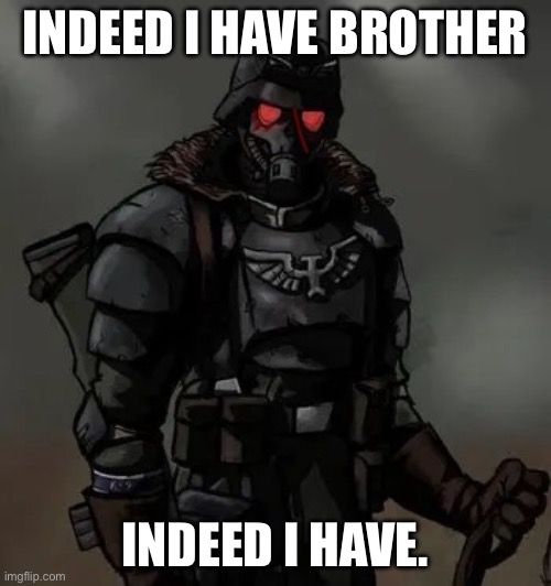 Krieg grenadier | INDEED I HAVE BROTHER INDEED I HAVE. | image tagged in krieg grenadier | made w/ Imgflip meme maker