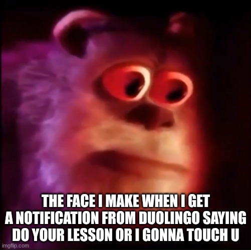 GULP | THE FACE I MAKE WHEN I GET A NOTIFICATION FROM DUOLINGO SAYING DO YOUR LESSON OR I GONNA TOUCH U | image tagged in monster inc | made w/ Imgflip meme maker