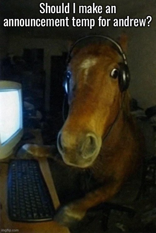Horse on computer | Should I make an announcement temp for andrew? | image tagged in horse on computer | made w/ Imgflip meme maker