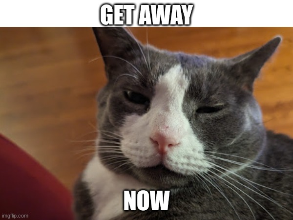 leave | GET AWAY; NOW | image tagged in grumpy | made w/ Imgflip meme maker