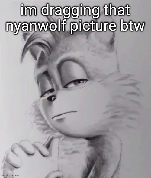 tails | im dragging that nyanwolf picture btw | image tagged in tails | made w/ Imgflip meme maker