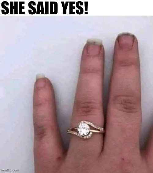She Said Yes! | SHE SAID YES! | image tagged in chrisjoines1 | made w/ Imgflip meme maker