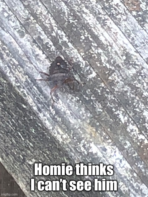 Homie thinks I can’t see him | made w/ Imgflip meme maker
