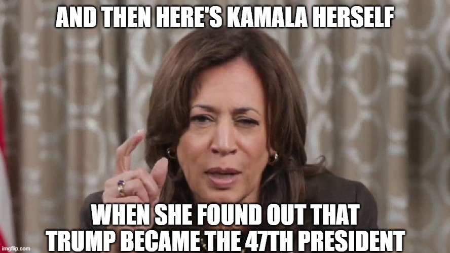 Drunk Kamala Wisdom | AND THEN HERE'S KAMALA HERSELF WHEN SHE FOUND OUT THAT TRUMP BECAME THE 47TH PRESIDENT | image tagged in drunk kamala wisdom | made w/ Imgflip meme maker
