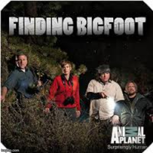 Bigfoot | image tagged in bigfoot | made w/ Imgflip meme maker