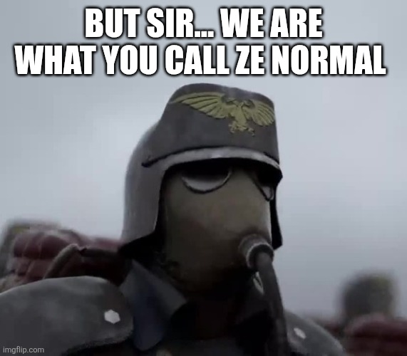 Death Korps of Kreig | BUT SIR... WE ARE WHAT YOU CALL ZE NORMAL | image tagged in death korps of kreig | made w/ Imgflip meme maker