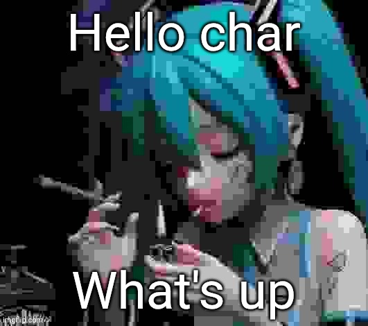 char | Hello char; What's up | image tagged in miku smoking low quality | made w/ Imgflip meme maker
