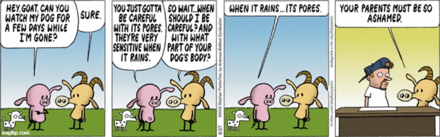Pearls Before Swine | image tagged in comics | made w/ Imgflip meme maker