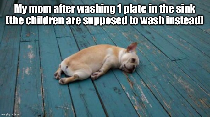 tired dog | My mom after washing 1 plate in the sink (the children are supposed to wash instead) | image tagged in tired dog | made w/ Imgflip meme maker