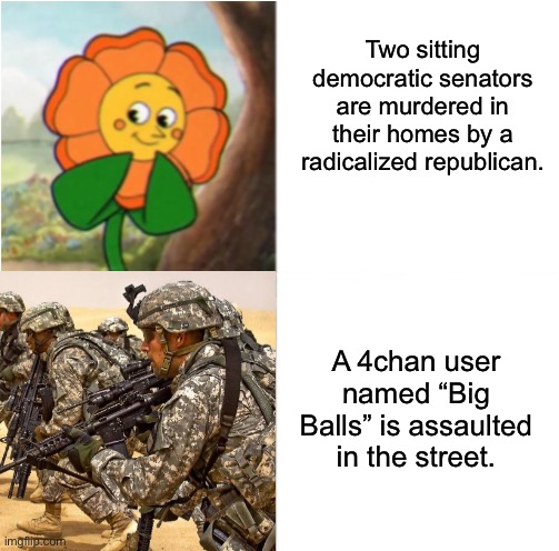 This was never about maintaining law and order. | Two sitting democratic senators are murdered in their homes by a radicalized republican. A 4chan user named “Big Balls” is assaulted in the street. | image tagged in reverse cuphead flower,donald trump,fascism,republicans,terrorist | made w/ Imgflip meme maker