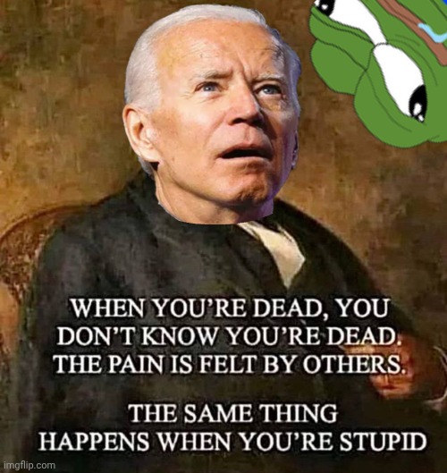 Stupid memes | image tagged in joe biden | made w/ Imgflip meme maker