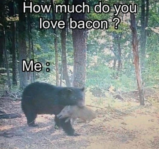 Baconoholic | image tagged in baconoholic | made w/ Imgflip meme maker
