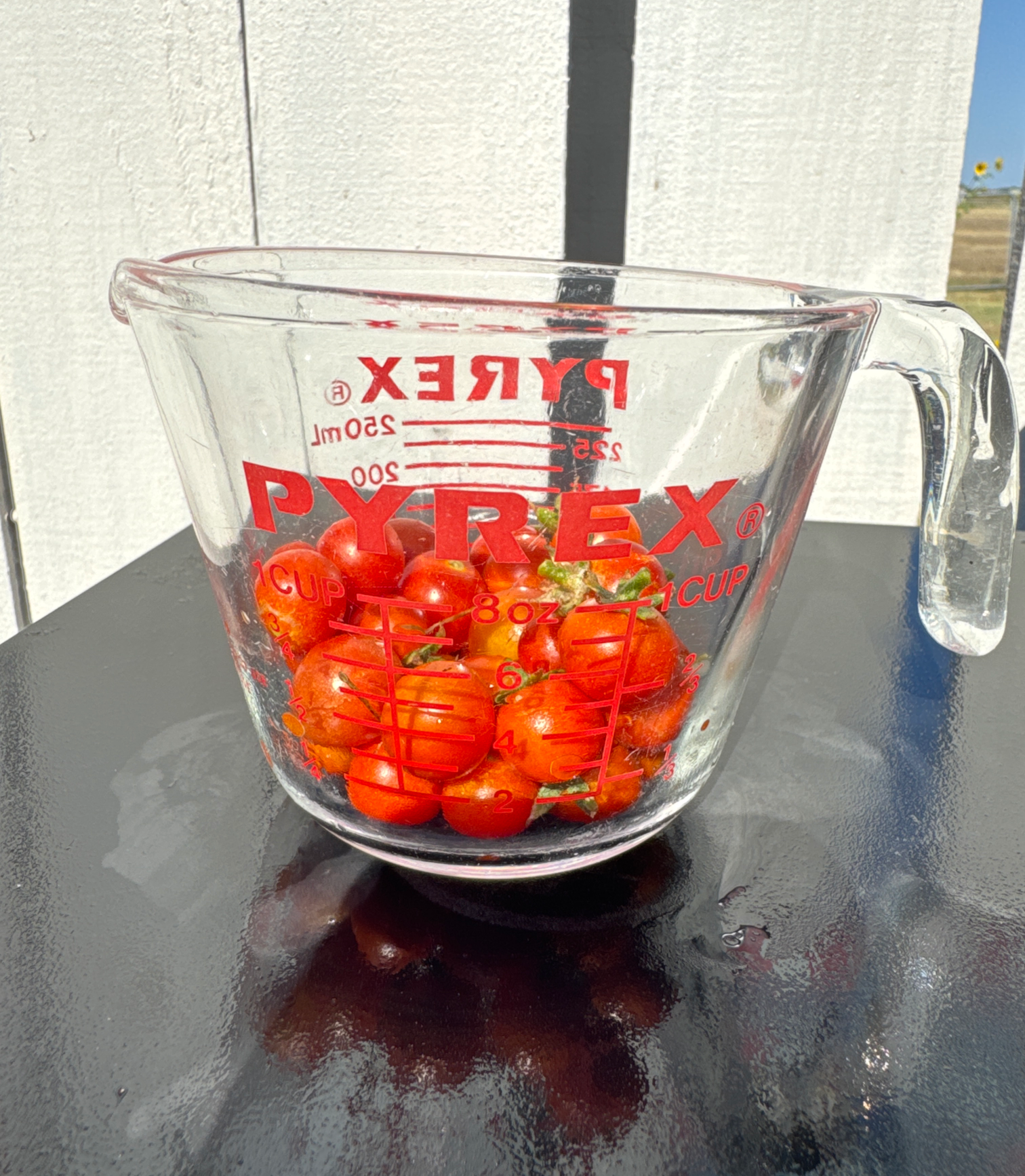 2/3 of a cup cherry tomato harvest Blank Meme Template