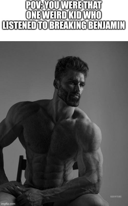 Breaking Benjamin Was Another Weird Kid Butt Rock Band | POV: YOU WERE THAT ONE WEIRD KID WHO LISTENED TO BREAKING BENJAMIN | image tagged in giga chad,memes,music,rock music,anime,relatable | made w/ Imgflip meme maker