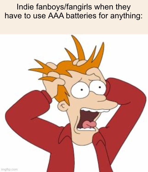Friendly fire | Indie fanboys/fangirls when they have to use AAA batteries for anything: | image tagged in fry freaking out | made w/ Imgflip meme maker